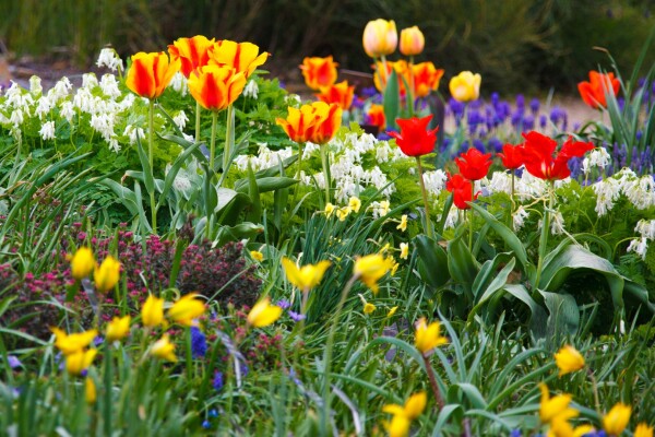 Spring Newsletter